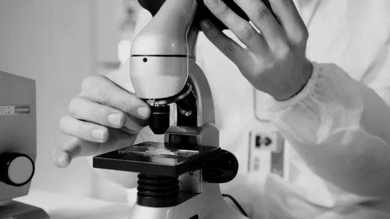 Your Cat Won't Make You Lose Your Mind: What the Science on Toxoplasma Actually Says
